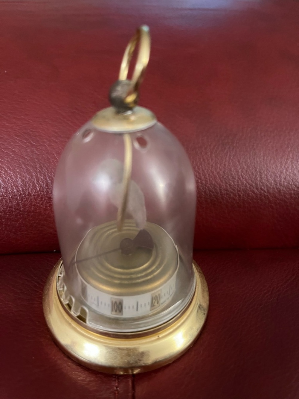 Vintage Thermometer-Hygrometer with Felt Bird in Dome
